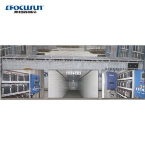 Easy Moving 20ft Containerized Solar Powered Cold Room for Cold Storage and