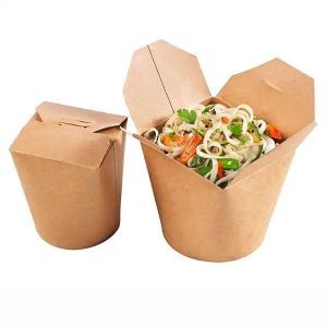 Noodle Box Packaging Hot Selling Compostable Takeout Noodle Boxes for Picnic Use