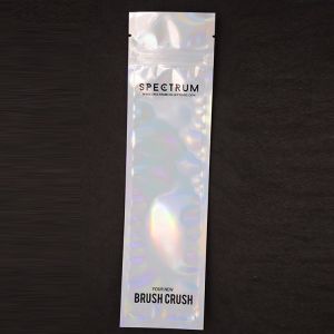 Fashion Hot Selling Holographic Makeup Brush Zipper Bag for Women