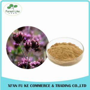 Competitive Price Natural Chinese Herb European Verbena Extract /Blue Vervain