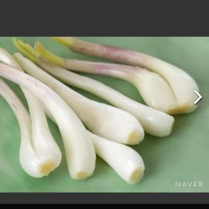 Pickled Seasoning Chinese Bulbous Onion Rakkyo Storage NORMAL CONDITIONAL SPICY