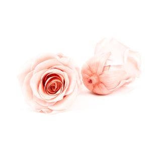 Cell Replacement Dyeing 6pcs Diameter 5-6cm Preserved Rose Heads