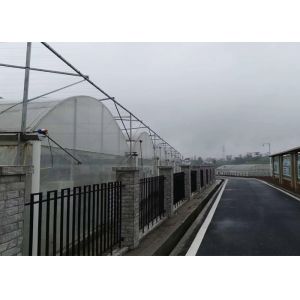 Simple Structure Plastic Film Greenhouse For Vegetables / Fruits Growing