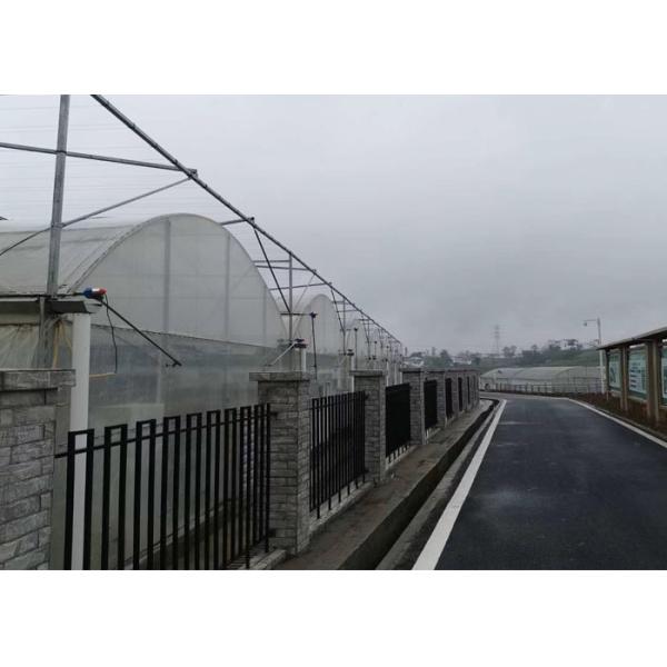 Buy Simple Structure Plastic Film Greenhouse For Vegetables / Fruits Growing at wholesale prices
