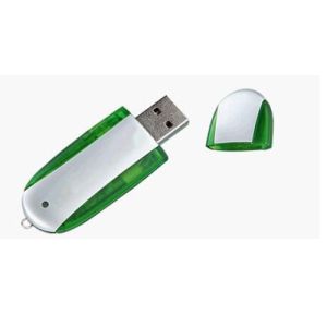 Plastics Cute USB Flash BT-U001 with silk screen logo