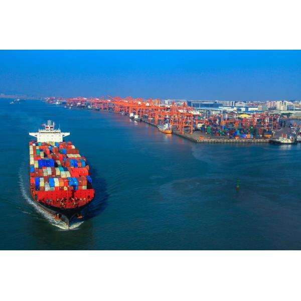 International 20FT 40FT FCL Ocean Sea Freight Forwarder Shipping From China To