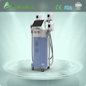 4 handles cryotherapy criolipolise criolipolysis head fat reduction freezefats