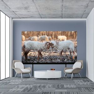 2400x1350 Interactive P4 Led Screen Module Display Panel AIO135