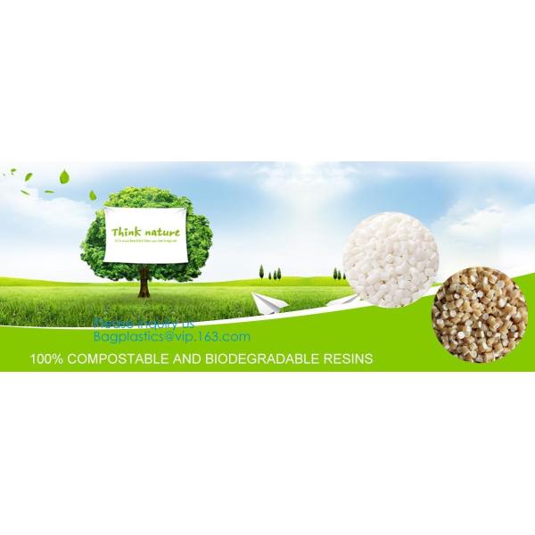 Plastarch Disposable PE Gloves Dog Poop Picker Bags Plastic Cleaning Gloves, Bags On Roll With Dispenser And Leash Clip