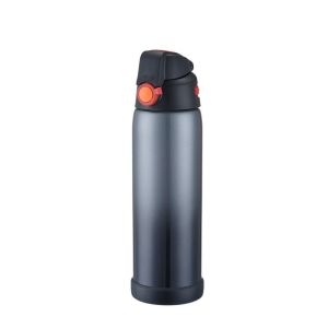 Quality 650ml 2019 new fashion Thermos Vacuum Insulated Compact sport Beverage Bottle black for sale