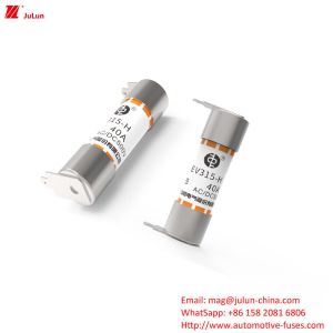 EV315-H-3EB Boxed Electric Vehicle Fuse With Fuses
