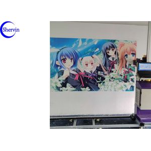Water Based Ink CE ROHS CMYK 3D Wall Inkjet Printer