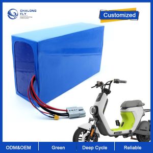 Quality LiFePO4 Lithium Battery Customized 24V 36V 48V 60V 30AH Li-Ion Battery 40AH 60AH 80AH For E-Wheelchair/E-Motorcycle for sale