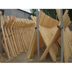 Rotary Cut/Peeled New Zealand Pine Wood Veneer Sheet