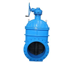 Quality 616-f BS resilent gate valve for sale