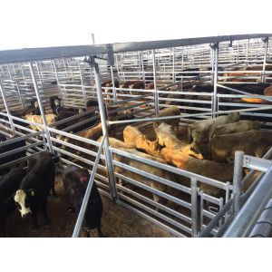 1.8m X 2.1m Oval Rail Tube Odm Heavy Duty Cattle Panel Galvanized