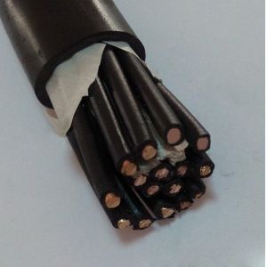 18AWG 1Pair Stranded Insulated Computer Instrument Cable PVC with Aluminum
