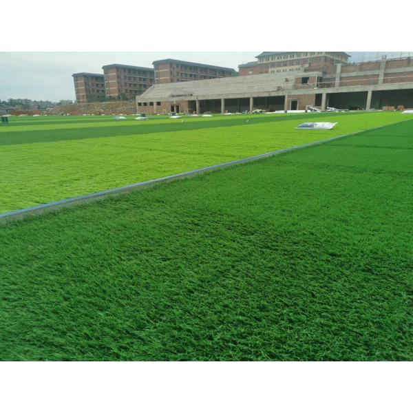 Buy Advanced Weaving Technique Synthetic Grass Field With Disease Resistant Yarn at wholesale prices