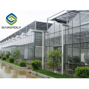 275g/m2 Side Ventilation Glass Hydroponic Greenhouse For Flowers