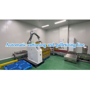 Automated Packaging Line For 3kg Tin-packed Tomato Sauce From Production To