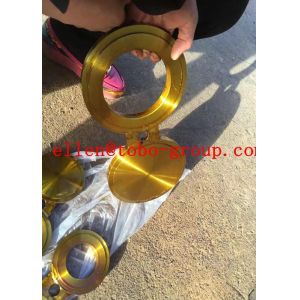 Stainless Steel 317 Blind Flange