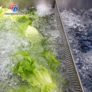 Watercress Bubble Generating Vegetable Fruit Cleaning Machine , Apricot