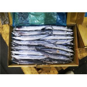 China #1 Whole Round Pacific Ocean Saury Frozen Sea Fish on sale