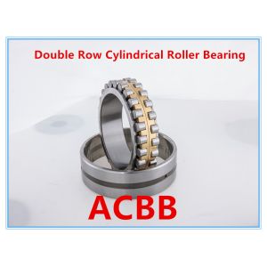 NN3018 K P4 W33 Double Row Cylindrical Roller Bearing