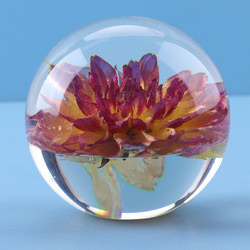 Artificial Transparent Paperweight , Clear Epoxy Resin Ball With Real Dry Flower