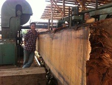 Buy Saw machines woodworking wood cutting vertical band sawmill with log carriage at wholesale prices