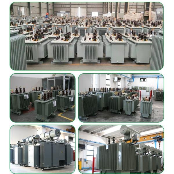 11kv Oil Immersed S9 Series 800kVA Electrical Power Transformer