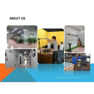 Carbon Fiber Cone 3000W RMS 89dB 12'' SPL Car Speakers