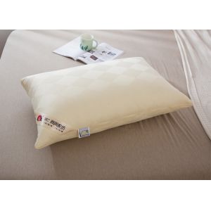 48*74cm Hypoallergenic Cotton Down Pillows