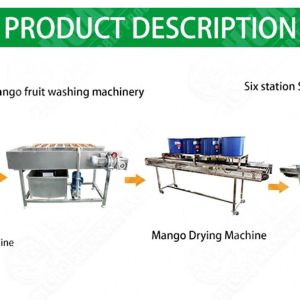 Garlic Slicing Machine Dehydration Line Complete Tomato Processing Line Mango
