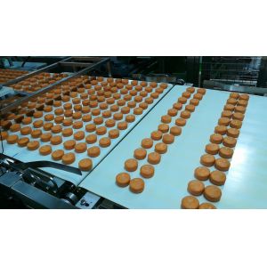 Straight Endless Belt Multi Layer Cooling Food Industry Conveyors