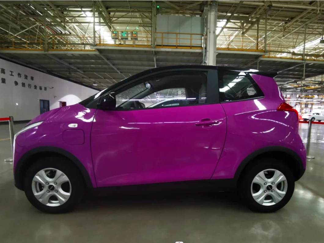 China Raysince New model 25KW motor 3 door electric car 4 Seat mini electric car for adult
