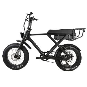 Smart Type Sensor DOMANCA 500w/750w/1000w Full Suspension Super Electric Cruiser