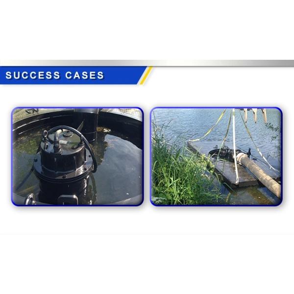 WQ Submersible Sewage Pump