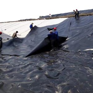 Fish Farm Pond Liner HDPE Geomembrane Waterproof Plastic Materials Geomembrane