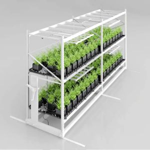 Construction Irrigation Holding Stands Intelligent Home Hydroponic Lettuce