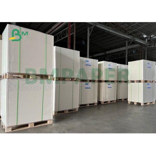 300gsm + 15g PE Coated Cupstock Board For Hot Coffee 840 x 710mm Eco Friendly