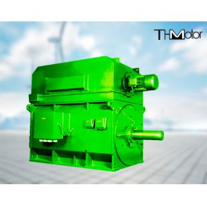 YPKK Cage Inverter Three Phase Asynchronous Motor 3000RPM IP55 6000KW