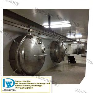 Automatic Functioning,Environmental Friendly Fast Drying Speed Lyophilized