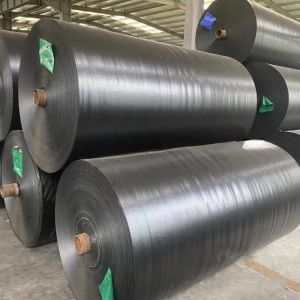 LDPE Coating 2m-50m Width Eyelets Waterproof HDPE PE Tarpaulin Sheet for