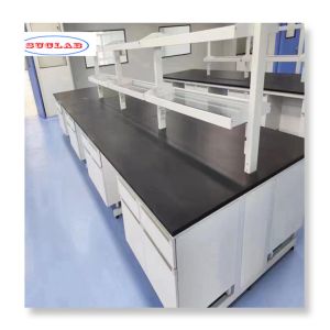 OEM/ODM Acceptable lab wall benches for various applications