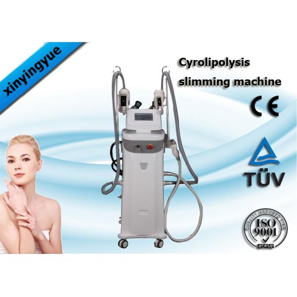 Buy 5 Handles Cryolipolysis Slimming Machine With Cavitation RF Fat Loss at wholesale prices