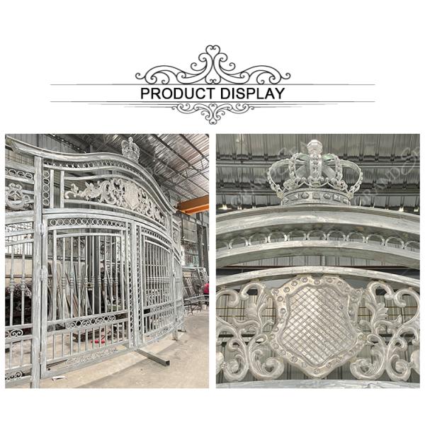 Modern Screen Custom Arches Top Exterior Front Double Entry Iron Glass Door Villa Front Entry Iron Pivot Door