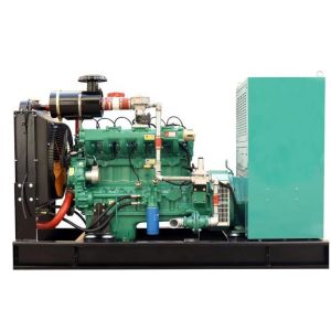 Affordable 20kw Natural Gas Generator Set with 50/60hz Frequency and Electrical
