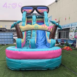 Giant 9x3m Inflatable Waterslide Customized Size Inflatable PVC Water Slide For