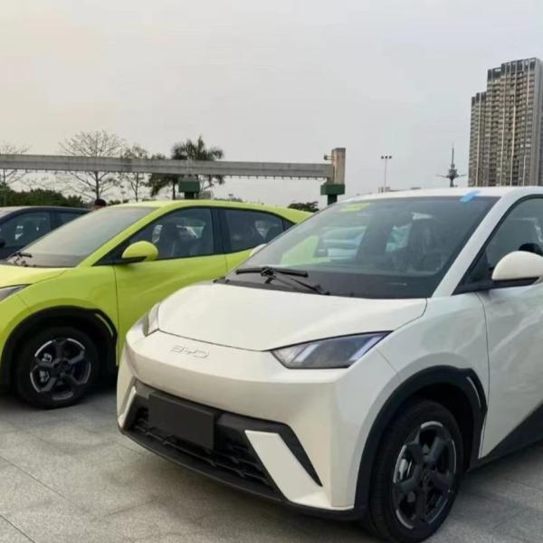 30.8 KWh Battery Capacity BYD Seagull Haiou Hatchback Mini EV Car for Adults in 2023